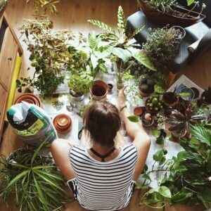 Container & Indoor Plant Care