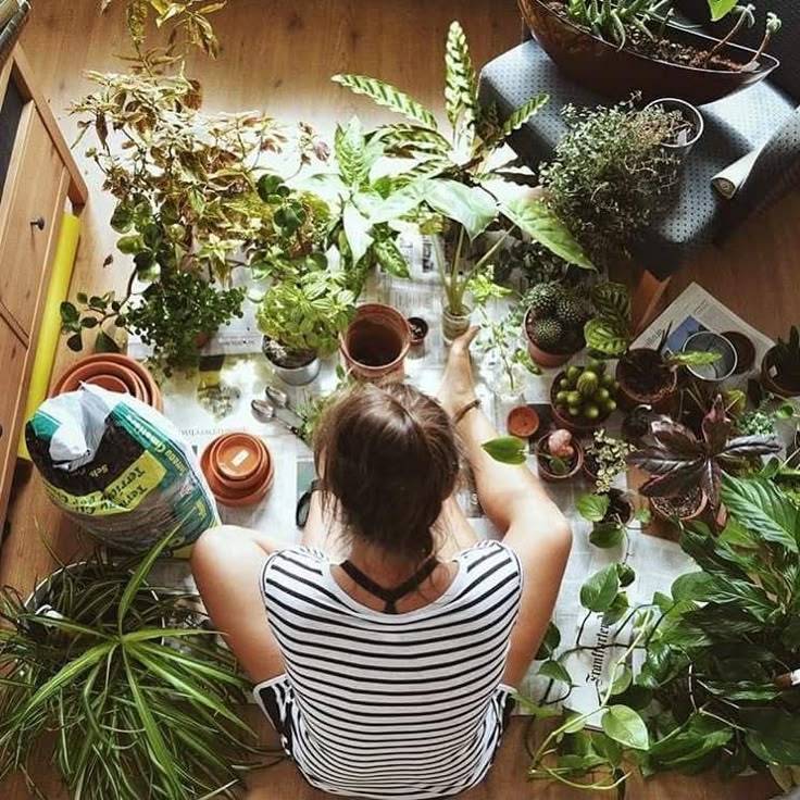 Container & Indoor Plant Care