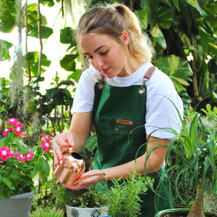 Flower & Ornamental Plant Care